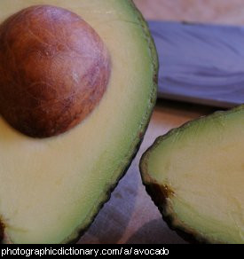 Photo of avocado fruit
