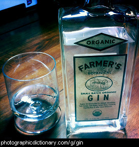 Photo of gin