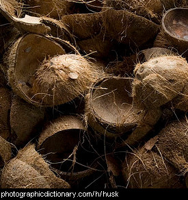 Photo of coconut husks.