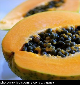 Photo of pawpaw or papaya