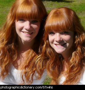 Photo of twins